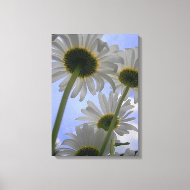 Daisy Day Wrapped Canvas (Front)