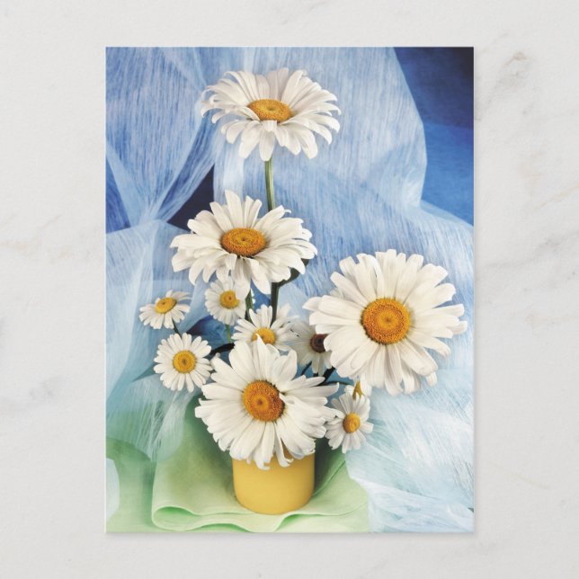 Daisy Decor Postcard (Front)