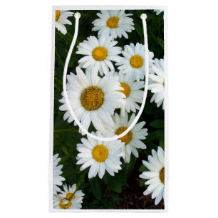 Daisy Delight Gift Bag