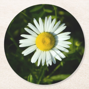 Daisy Delight Paper Coaster