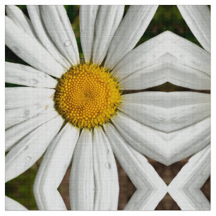 Daisy Dew Fabric