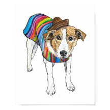 Daisy Dog
