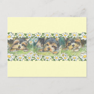 Daisy Dogs Yorkie Puppies Postcard