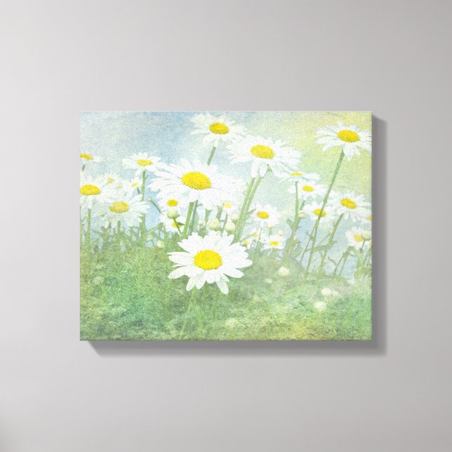 Daisy Dream Canvas Print (Front)