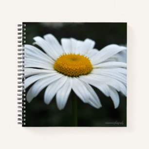 Daisy - Face Up Notebook