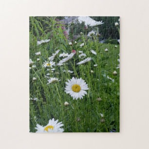 daisy field dreams jigsaw puzzle