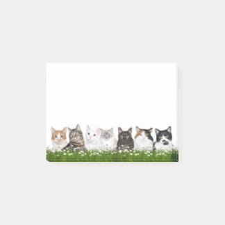 Daisy field full of kitties post-it notes