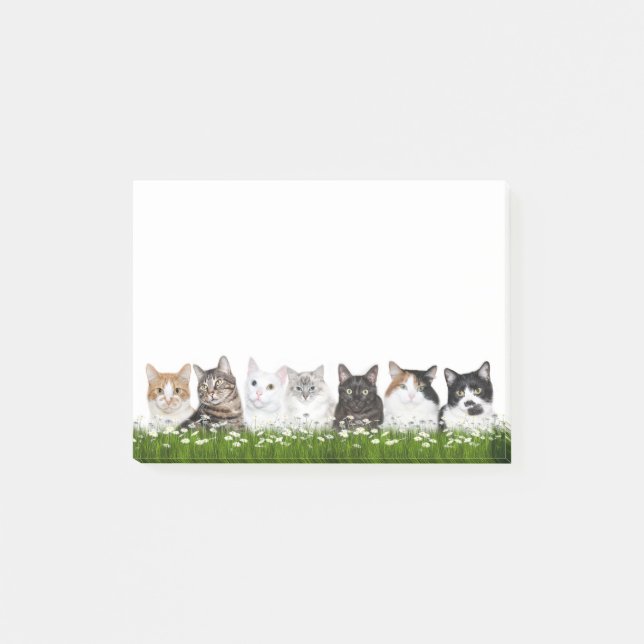 Daisy field full of kitties post-it notes (Front)