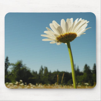 Daisy Field Mouse Pad