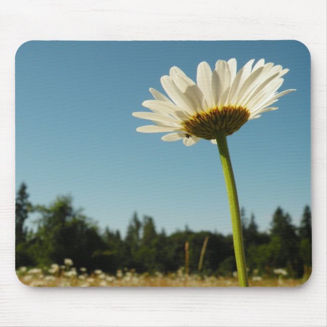 Daisy Field Mouse Pad (Front)