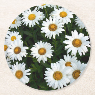 Daisy Field Paper Coaster