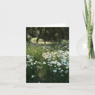 Daisy Field Personalised Greeting Card