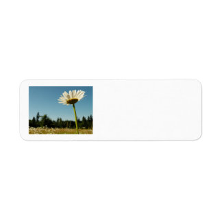Daisy Field Return Address Label