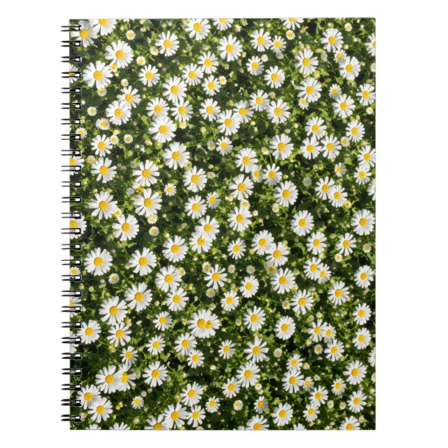 Daisy Field Spiral Notebook (Front)