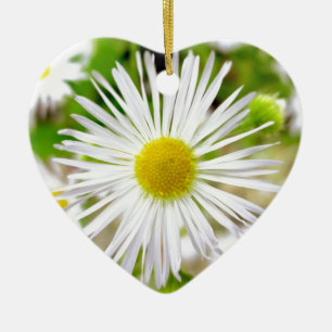 Daisy Fleabane Ceramic Tree Decoration