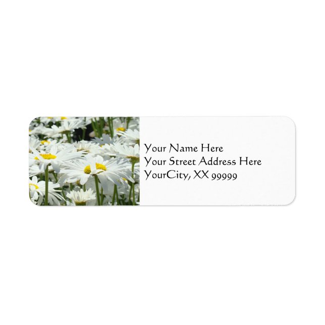 Daisy Floral Address Labels custom Daisies (Front)