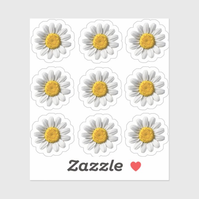 Daisy Floral White Flower Blossom (Sheet)