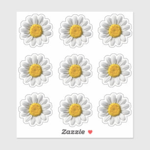 Daisy Floral White Flower Blossom