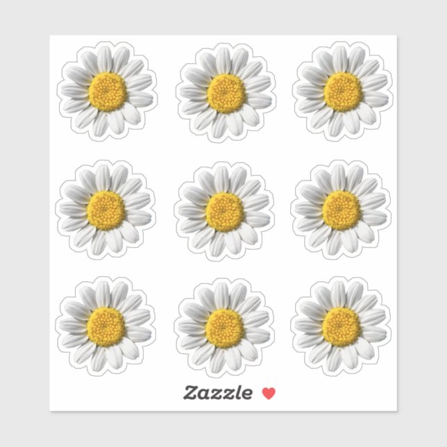 Daisy Floral White Flower Blossom (Sheet)