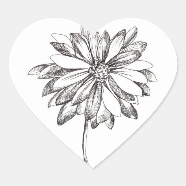 Daisy Flower Black Pen and Ink Drawing Heart Sticker (Front)