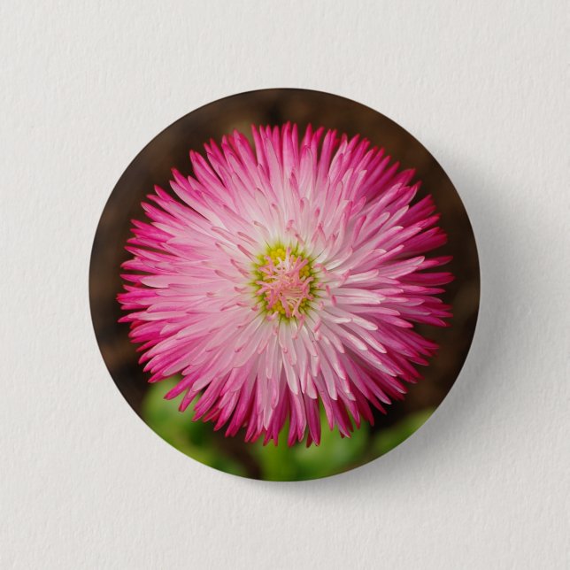 Daisy Flower - Button (Front)