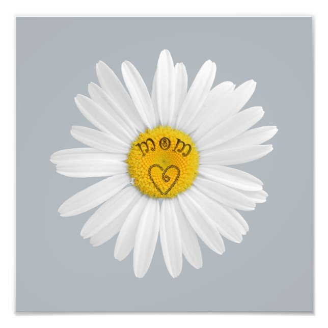 Daisy Flower For Mum Art Customise Background Photo Print (Front)