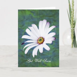 Daisy Flower get well soon Card