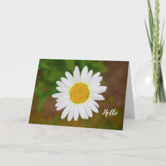 Daisy Flower Greeting Card