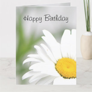 Daisy Flower In Full Bloom Card