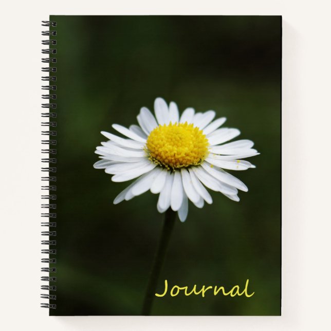 Daisy Flower Large 8.5" x 11" Journal Notebook (Front)
