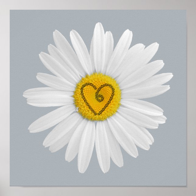 Daisy Flower Love Art Customise Background Poster (Front)