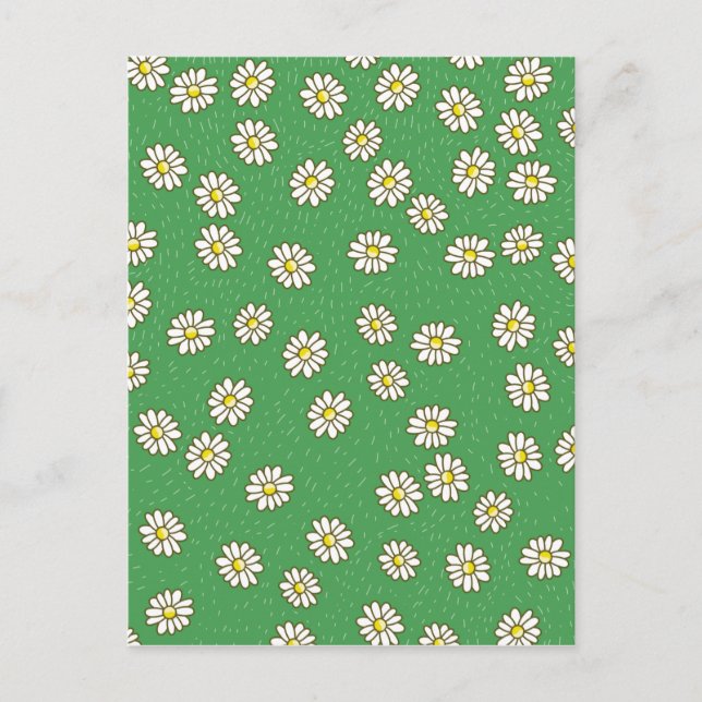 Daisy flower pattern postcard (Front)