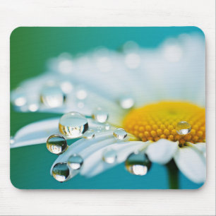 Daisy Flower Petal Nature Serene Calm Mouse Mat