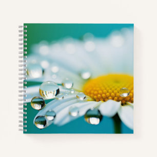 Daisy Flower Petal Nature Serene Calm Notebook