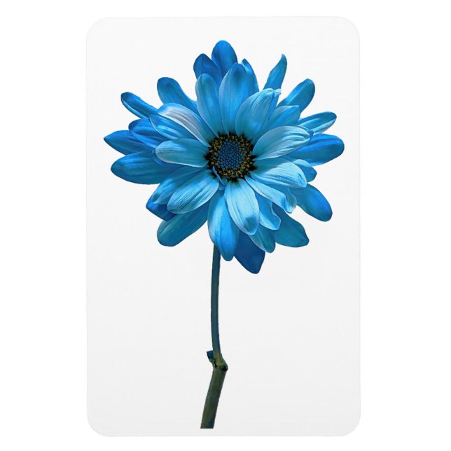 Daisy Flower Photo Magnet (Vertical)