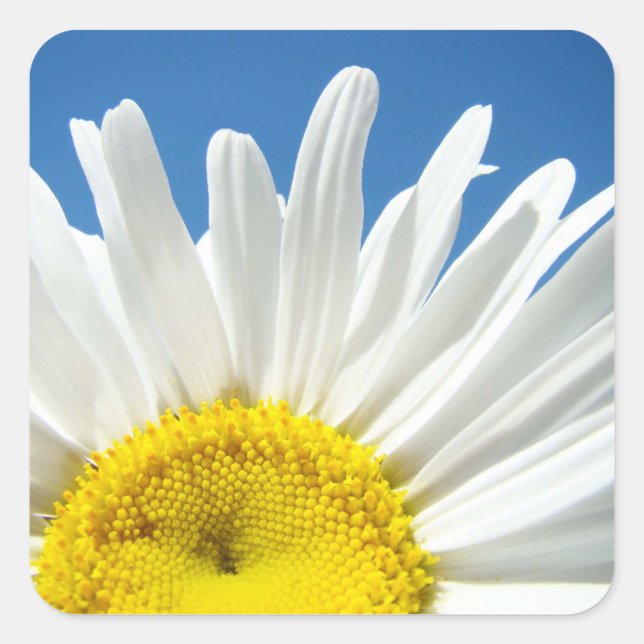 Daisy Flower Stickers custom Add Your Text (Front)