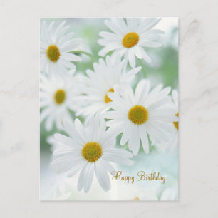 Daisy flowers - Birthday Postcard