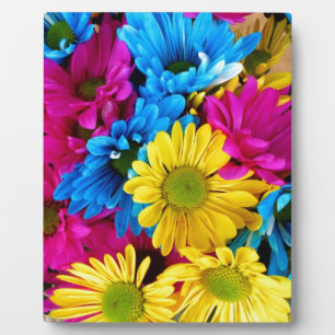 Daisy Flowers Blossoms Love Destiny Shower Party Plaque