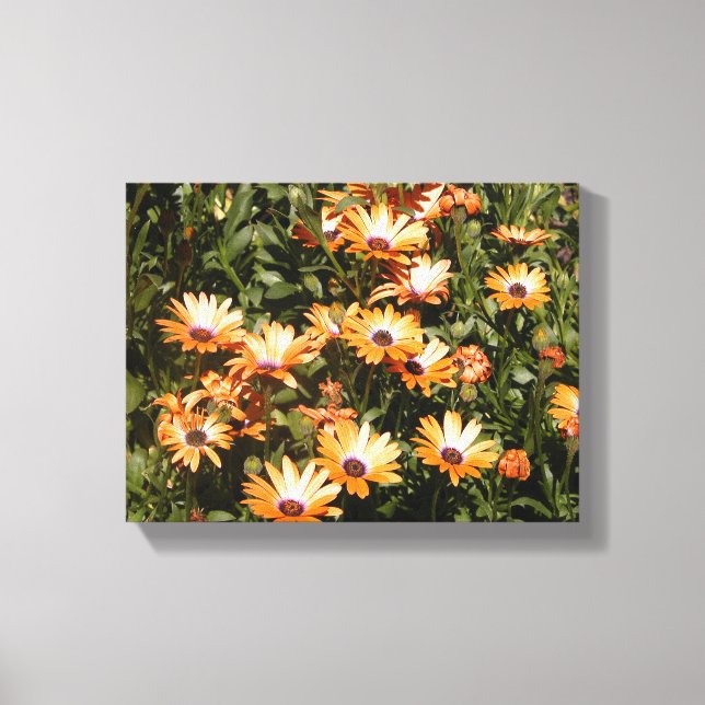 daisy flowers canvas print (Front)