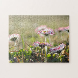 Daisy Flowers Flower Field Spring Meadow Beautiful Jigsaw Puzzle