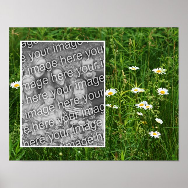 Daisy Flowers In Field Add Your Photo Poster (Front)