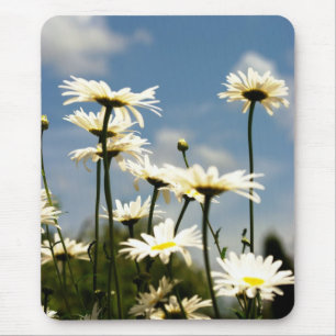 Daisy Flowers Mousepad