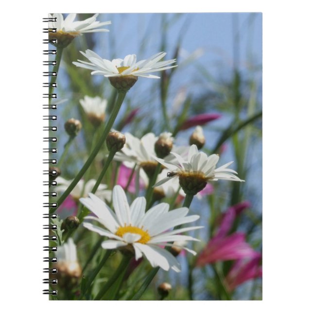 Daisy Flowers Notebook (Front)
