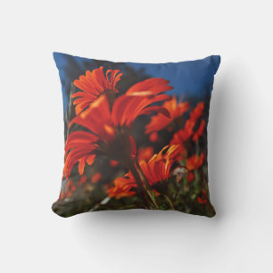 Daisy Flowers Orange Blue Cushion Throw Pillow