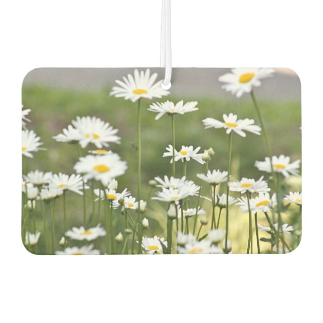 Daisy flowers photo car air freshener (Front)