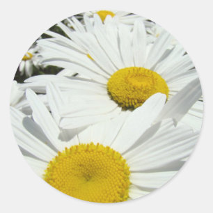Daisy Flowers White stickers Daisies Floral custom
