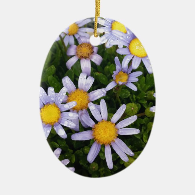 Daisy Flowers, White Yellow Flower, Nature Daisies Ceramic Tree Decoration (Front)