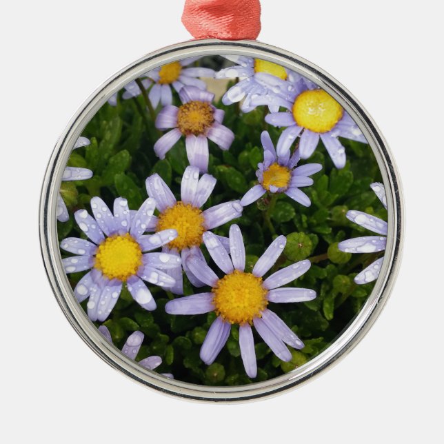 Daisy Flowers, White Yellow Flower, Nature Daisies Metal Tree Decoration (Front)