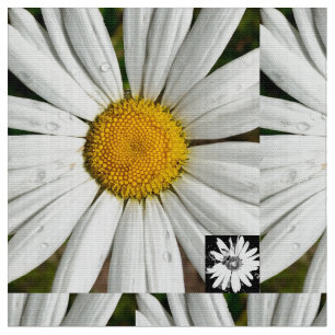 Daisy Fun Fabric