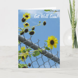 Daisy Get Well Soon Greeting Card